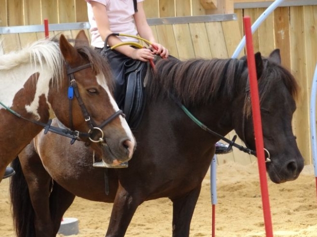 A cheval